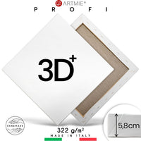 3D+ Maliarske plátno na ráme PROFI | Rôzne rozmery — obrázok 5