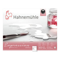 Akvarelový papier Hahnemühle Expression | rôzne rozmery — obrázok 2