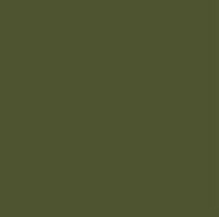 Dekorative Chalky Kreidefarbe Pentart 100 ml | verschiedene Farbtöne | ARTMIE