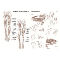 Kolekcia Leonardo 04 Anatómia — obrázok 6