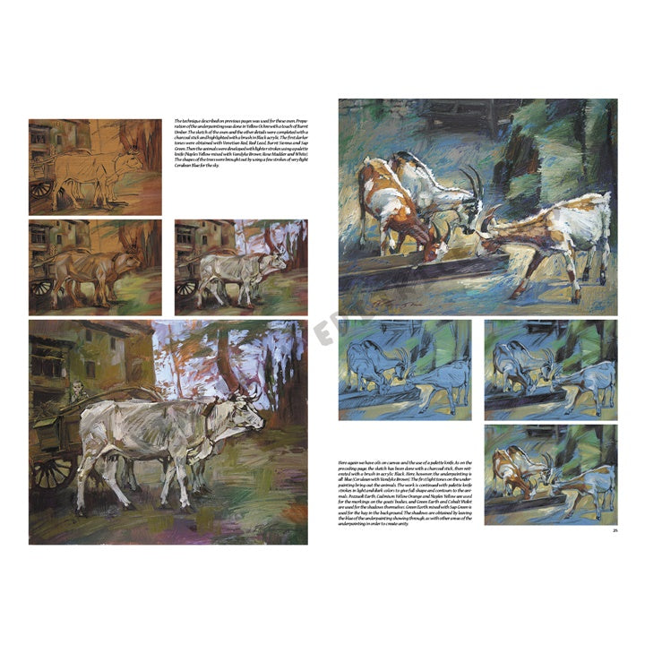 Leonardo Collection 13 Zvieratá — obrázok 4