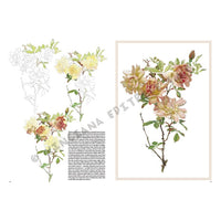 Leonardo Collection 42 Ruže — obrázok 5