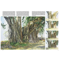 Leonardo Collection 45 Stromy a listy — obrázok 4