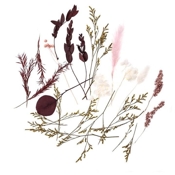 Mini sušená kytica „Burgundy Queen“ / 20 cm — obrázok 1