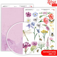 Papiere na scrapbooking Wild Flowers A4  | rôzne motívy — obrázok 9