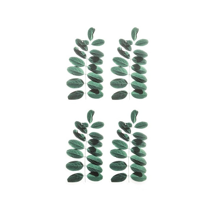 PVC dekoratívne samolepky | listy, 33 ks — obrázok 4