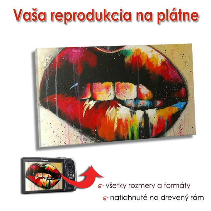 Reprodukcia na plátne - OBDLŽNIK