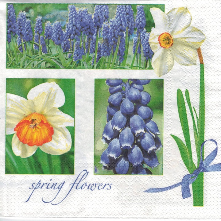 Servítky na dekupáž Muscari & Narcissus - 1 ks