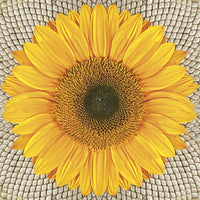 Servítky na dekupáž Sunflower on Seeds - 1 ks