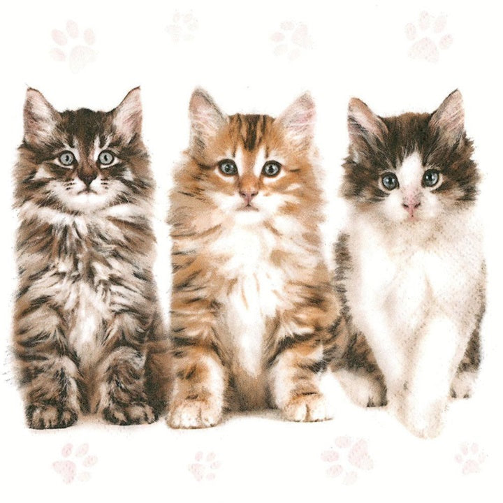 Servítky na dekupáž Tree Beautiful Cats - 1 ks