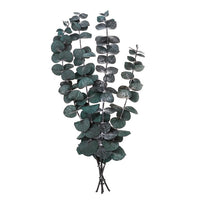 Stabilizovaný eukalyptus Baby Blue / 4 stonky, zelený, 20 cm — obrázok 2