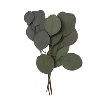 Stabilizovaný eukalyptus Populus – zelený / 4 stonky, 20 cm — obrázok 1
